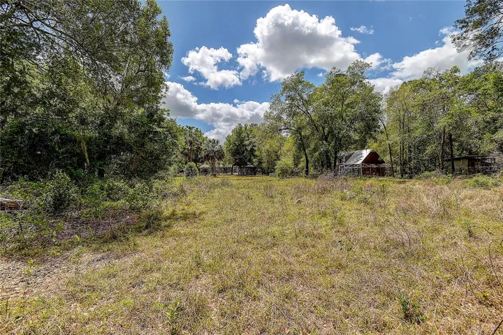 Large back yard