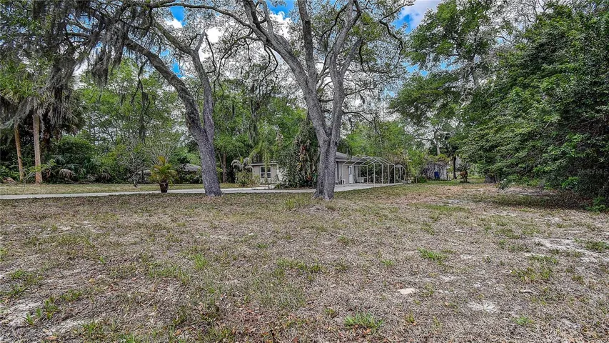 Large front yard