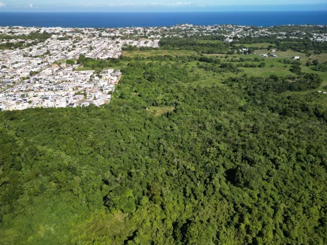 Vacant Land