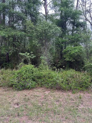PIC 1
