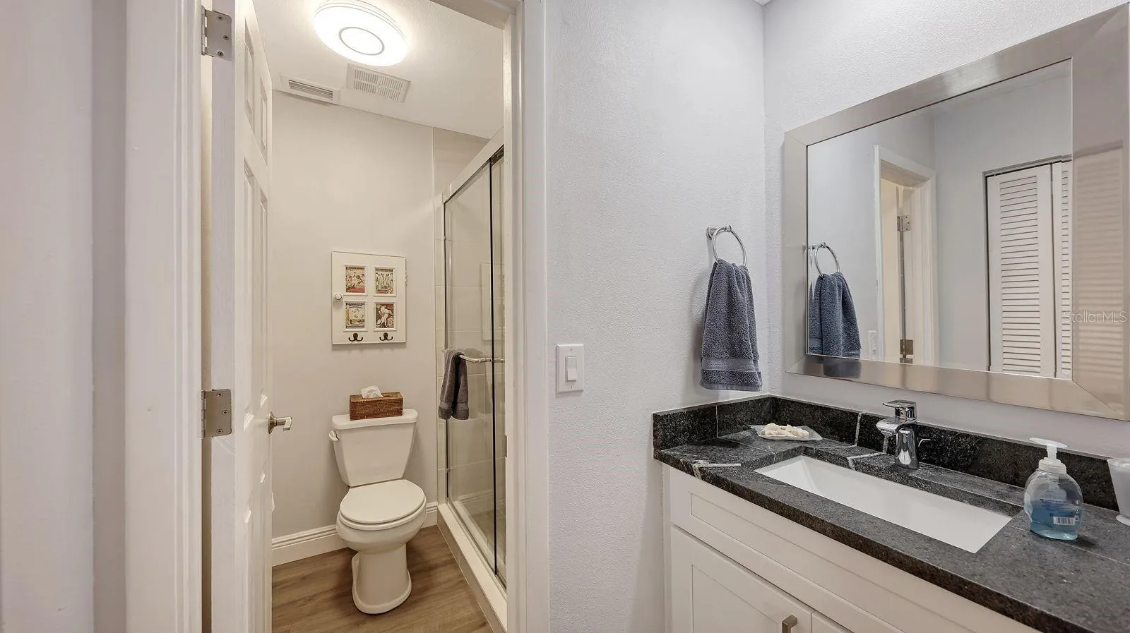 Updated Guest Bathroom with a Newer Vanity (Solid Wood Cabinet &amp; Granite Top)