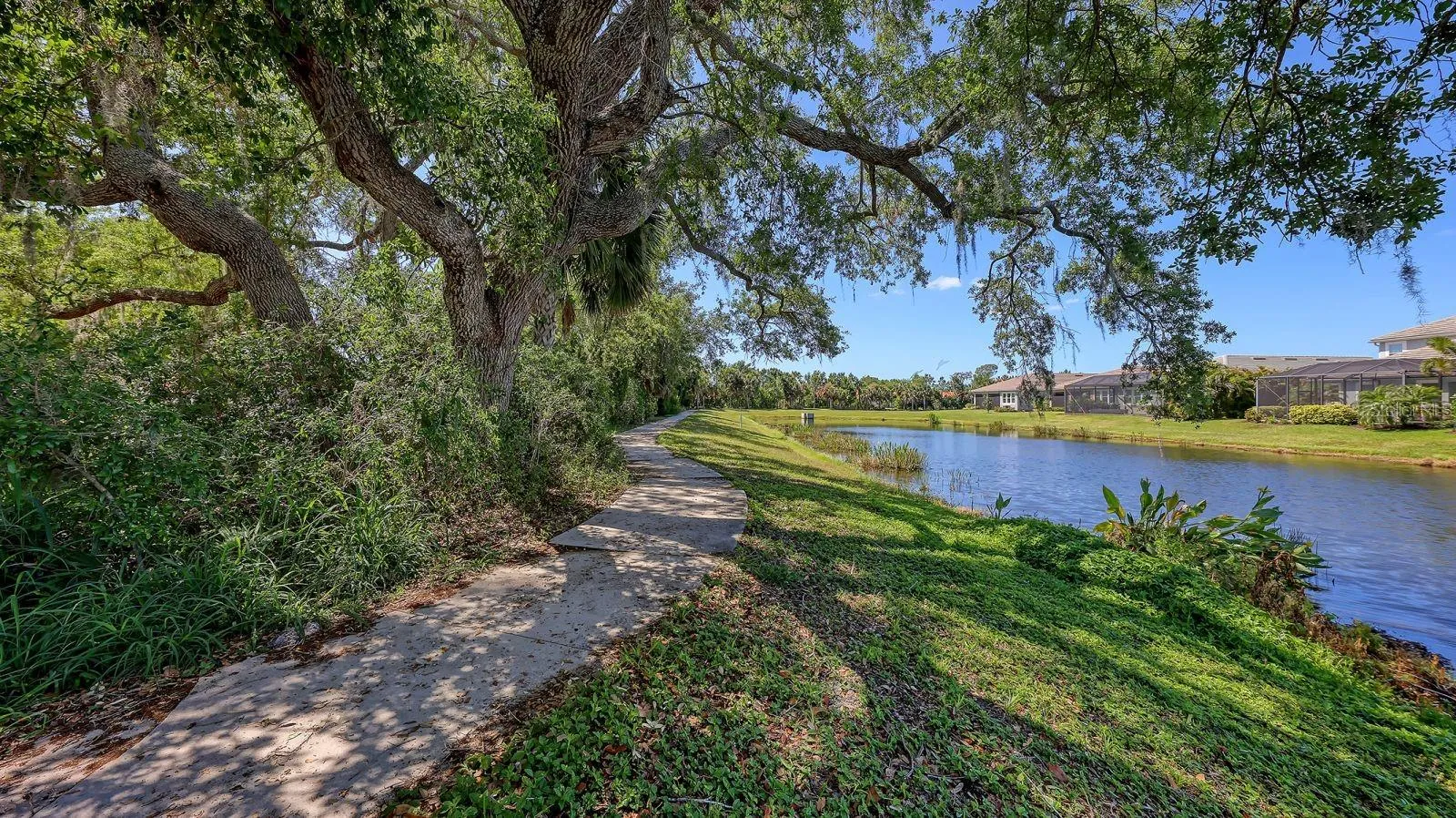 Walking Trails in the Community