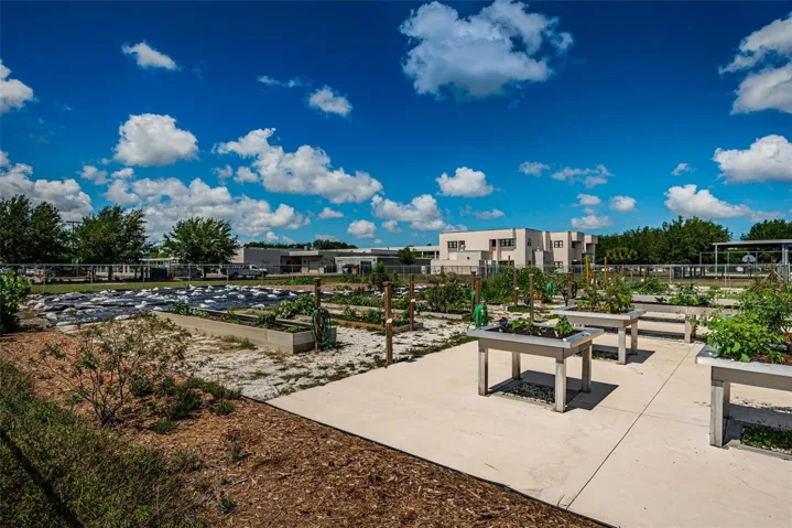 Neighborhood garden