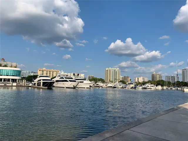 Bay Front Sarasota