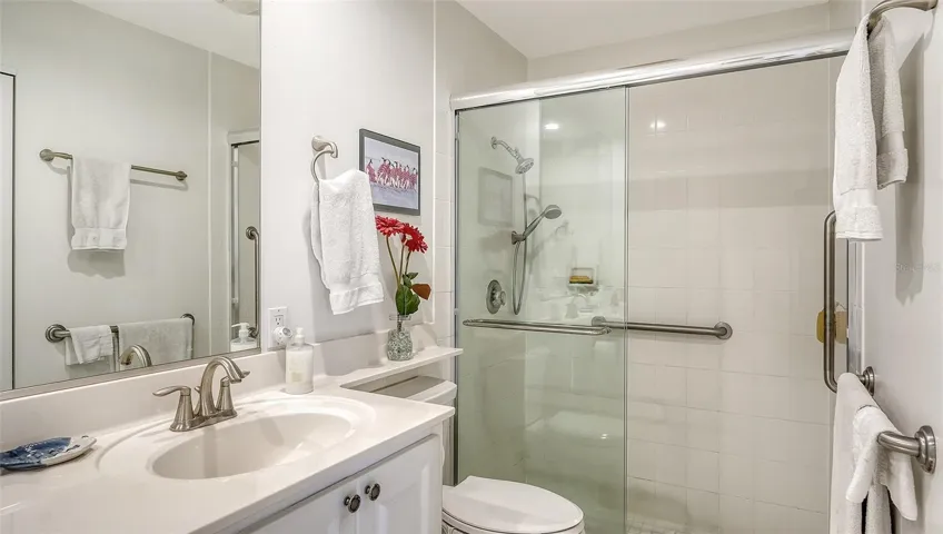 New Shower Door with Safety Bars