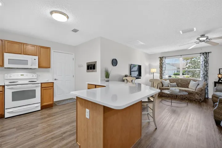 Kitchen and Living Room