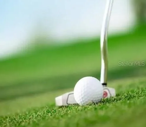 In the hole.