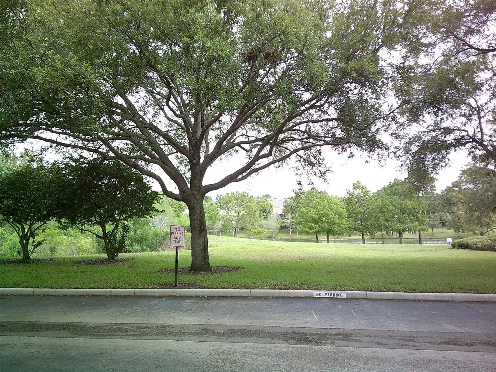 Park