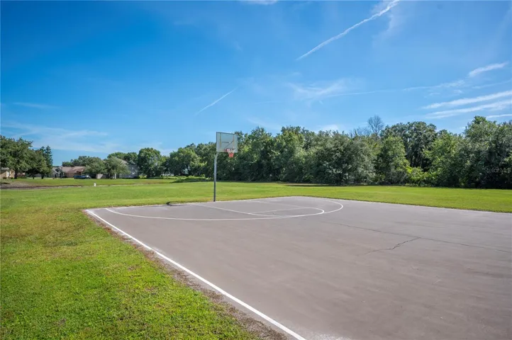 basketball court