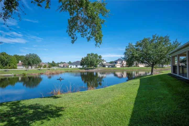 lovely pond!