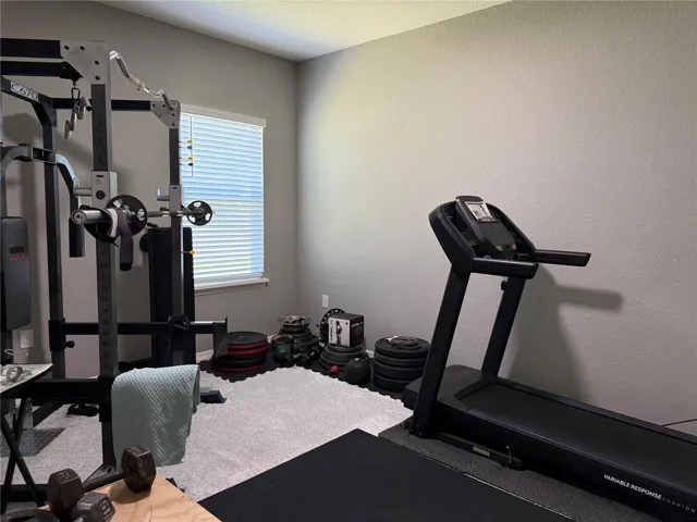 Bedroom 3 / Weight room
