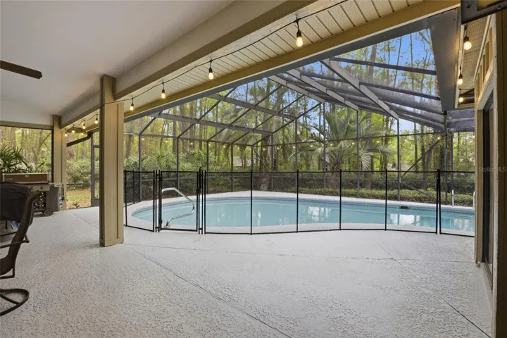 Pool with Safety Fence