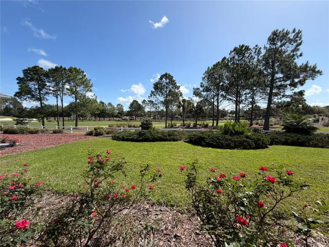 GOLF COURCE BACK YARD