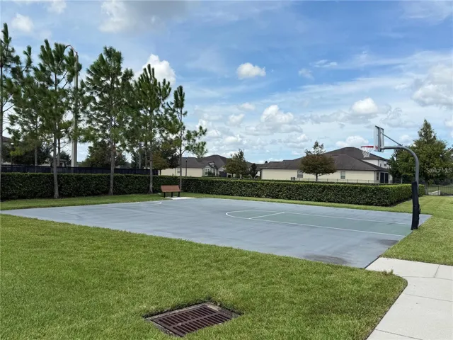 BASKETBALL COURT