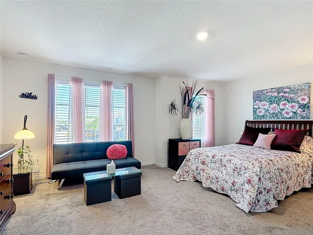 Primary bedroom view 1