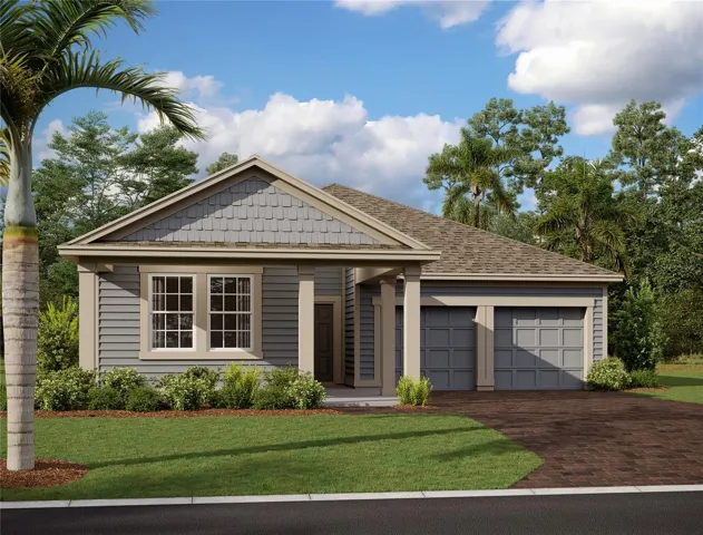 Elevation Rendering