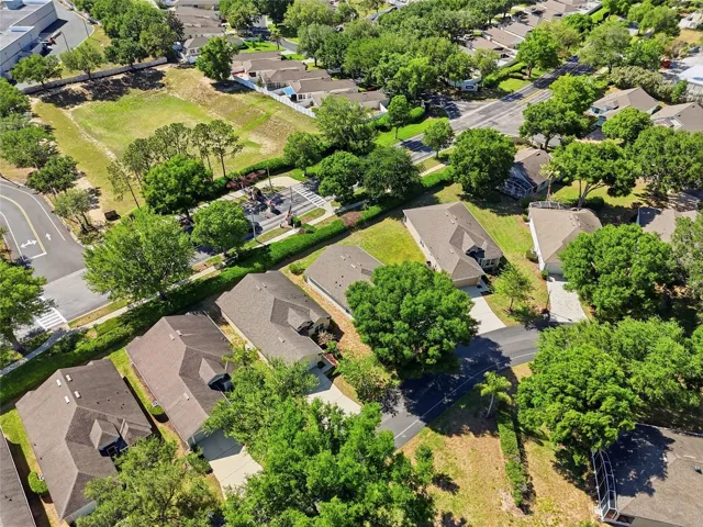 Aerial View of the Neighborhood