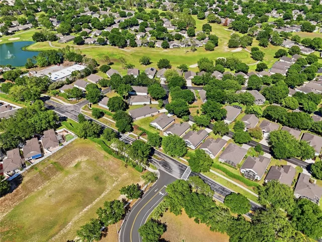 Aerial View of the Neighborhood