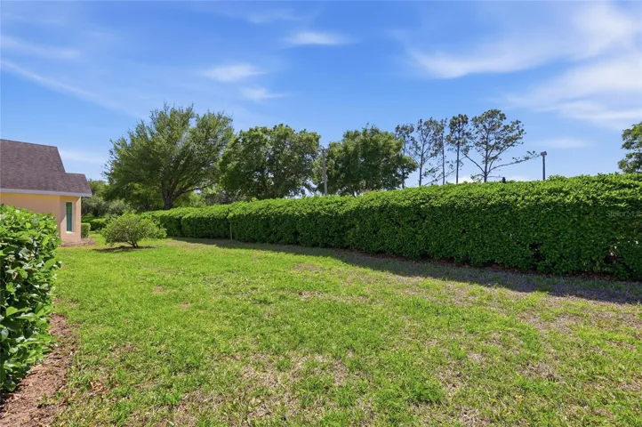 Backyard