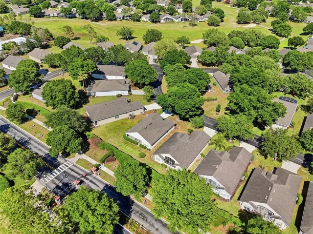 Aerial View of the Neighborhood