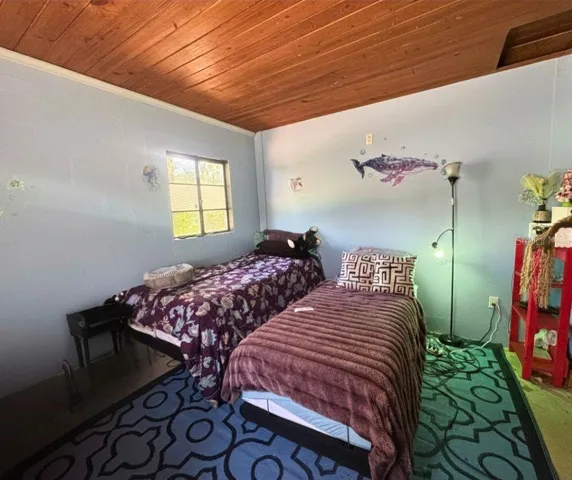 In-law bedroom 2