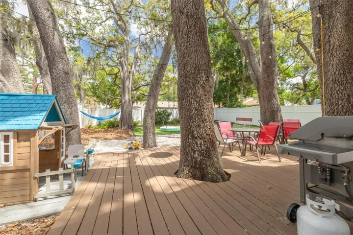 Back yard