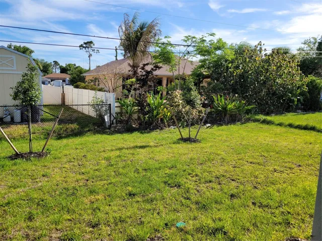 Back Yard