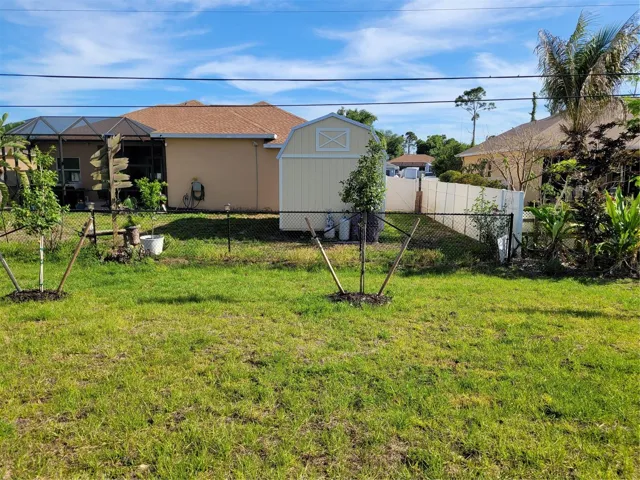 Back Yard