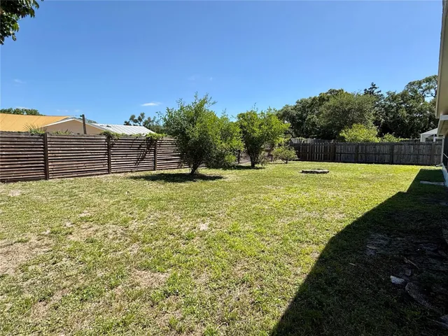 Backyard