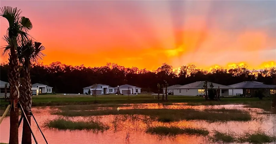 Rear Yard Views overlooking the conservation area and amazing sunsets