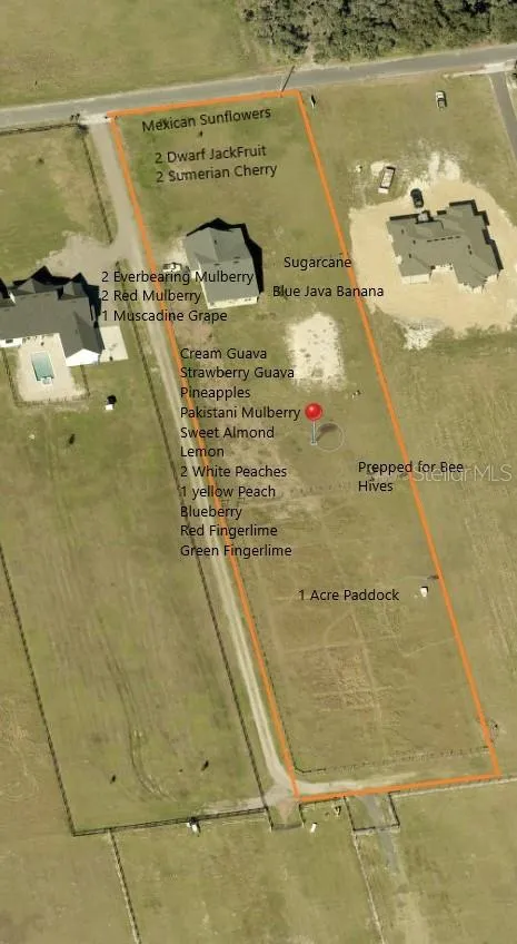 3063 English Rd, Plant City, Florida 33567 — photo 2