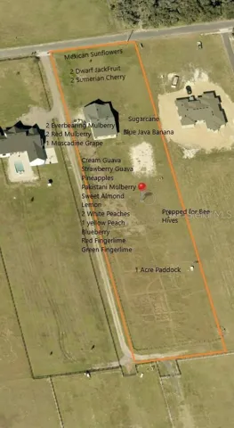 Overhead photo showing the property's expansive room to grow, farm, and enjoy.