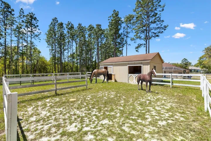 Virtually staged 2 stall barn 15'x24'. Fenced pasture 125'x140'.