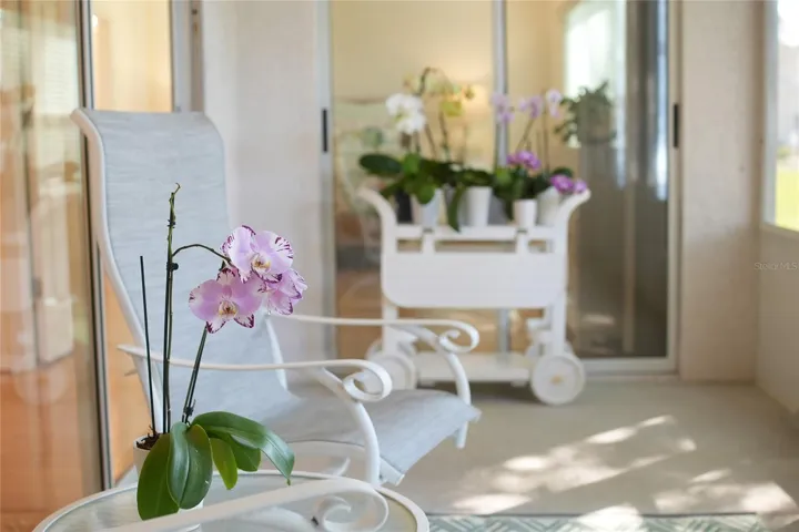 FLORIDA ROOM