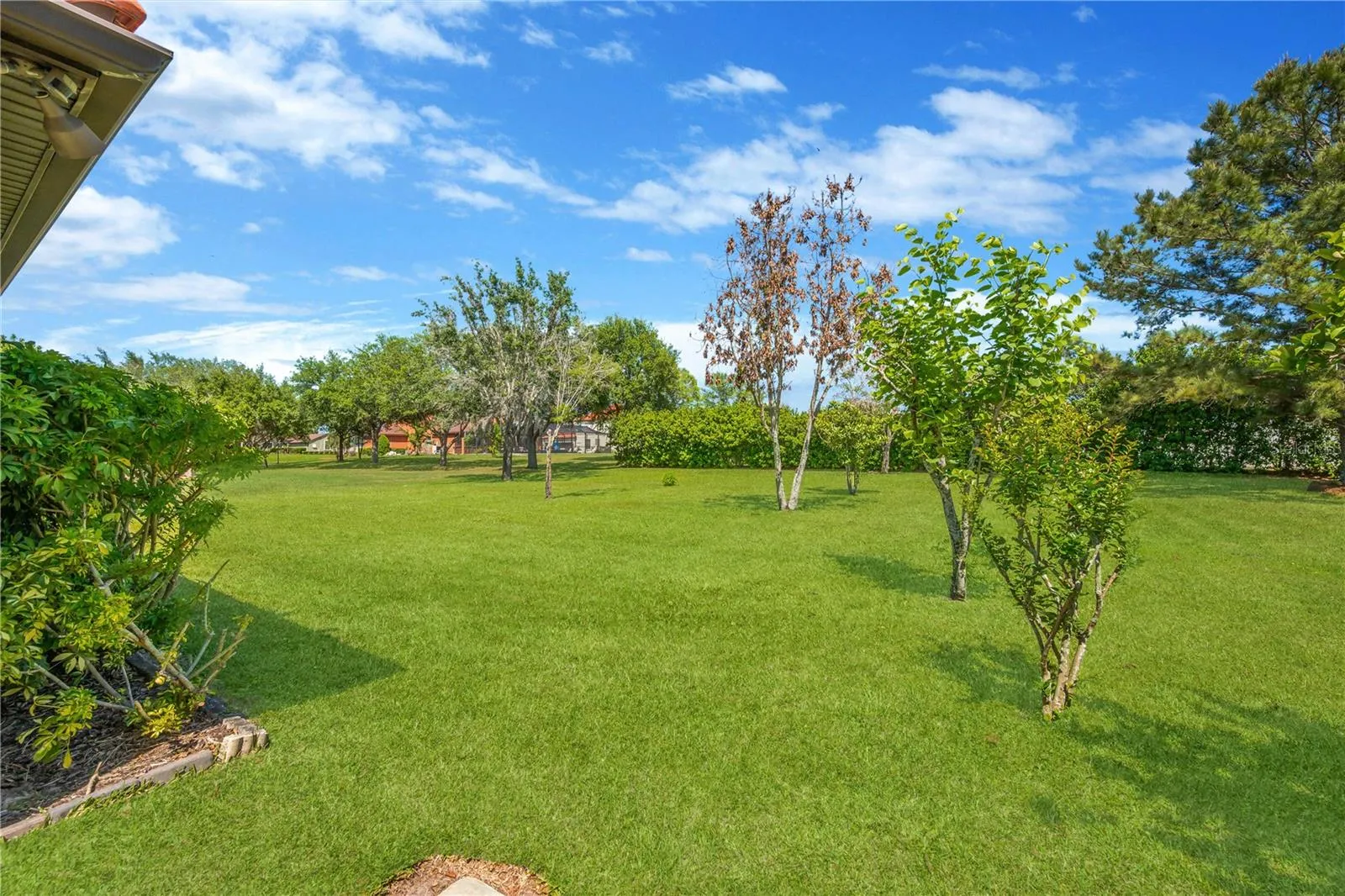 Enjoy your own fruit trees, including a mature avocado tree and a charming kumquat tree, adding both character and fresh homegrown harvests to this backyard retreat.