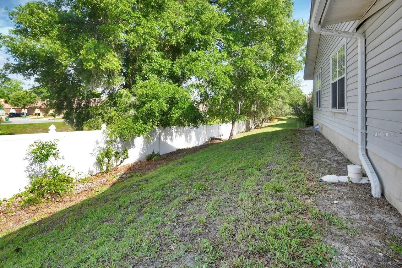 Rear Yard