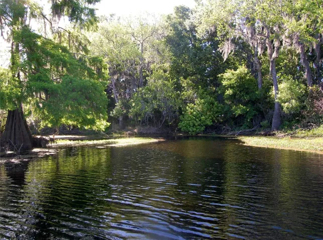 Canal to Lake