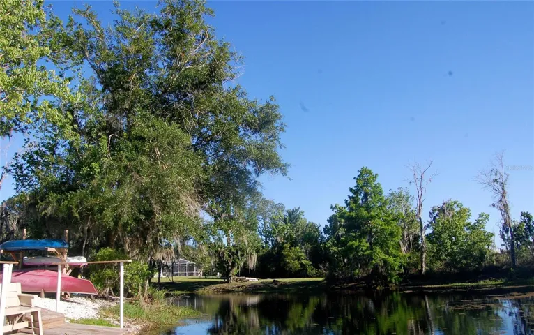 View form property