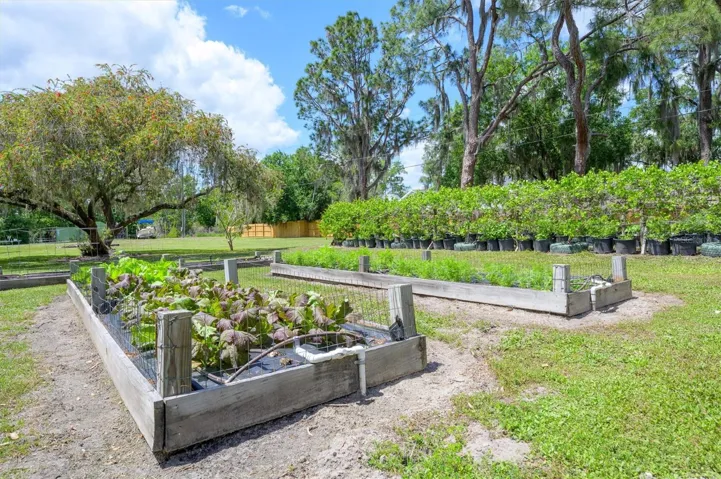 Irrigated Garden
