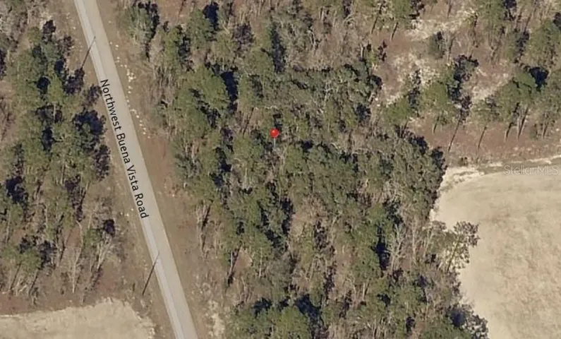 NW Buena Vista Rd, Dunnellon, FL (Lot 13, Blk 35)