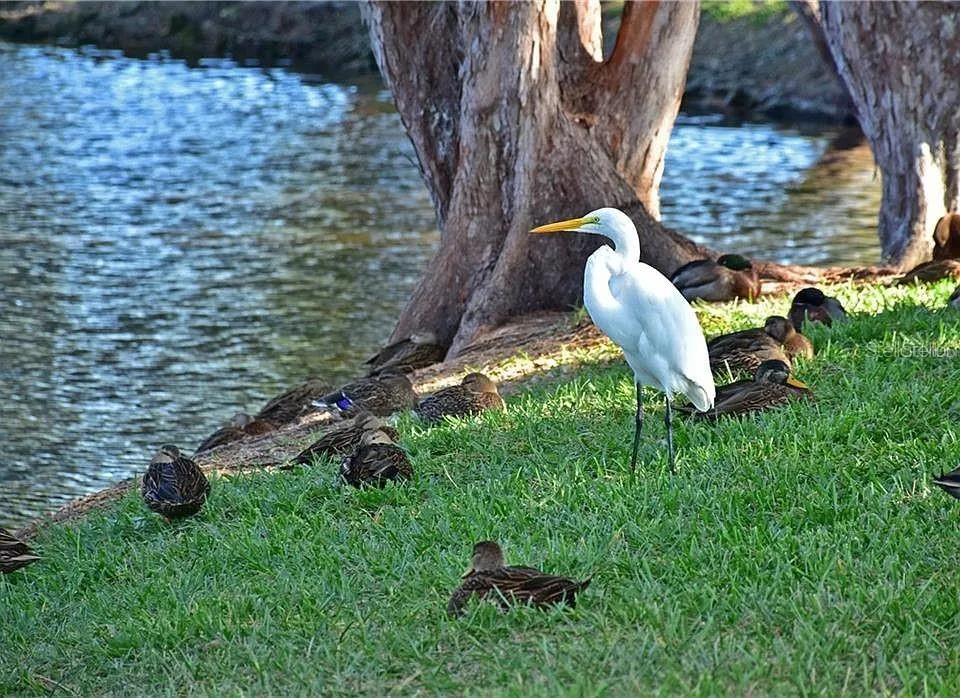 Mount Vernon nature