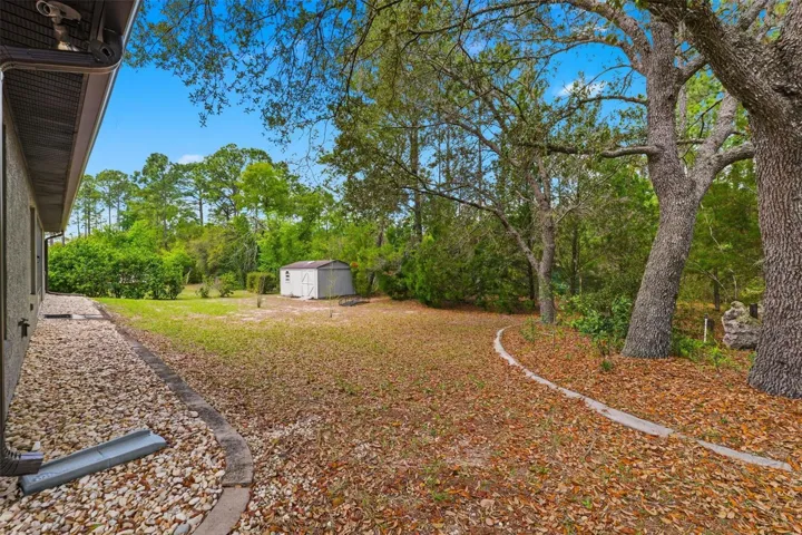 Shed/Rear Exterior