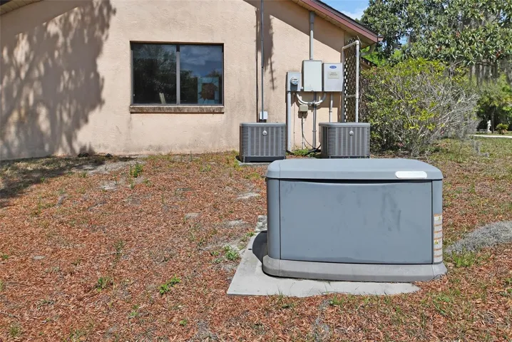 Whole House Generator
