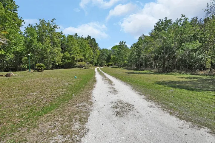 Driveway