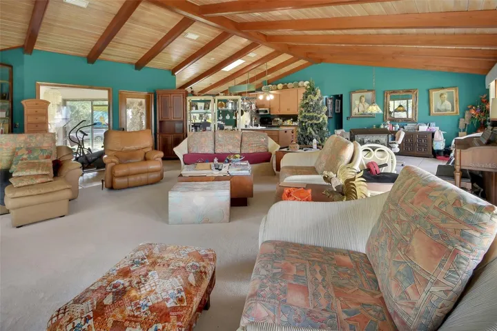 Great Room / Vaulted Ceiling