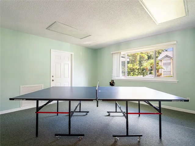 Ping Pong Table