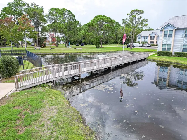 Pond