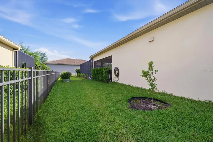 Fenced in with enough green space