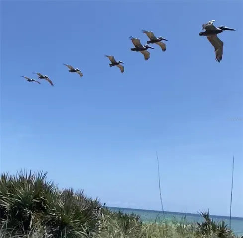 1170