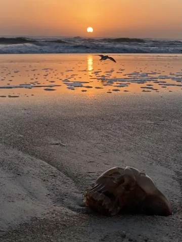 1170